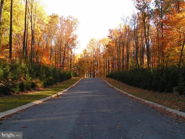 a view of outdoor space with trees