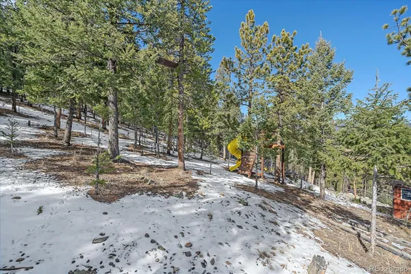 a view of a park with large trees
