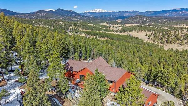 a view of a forest with a mountain