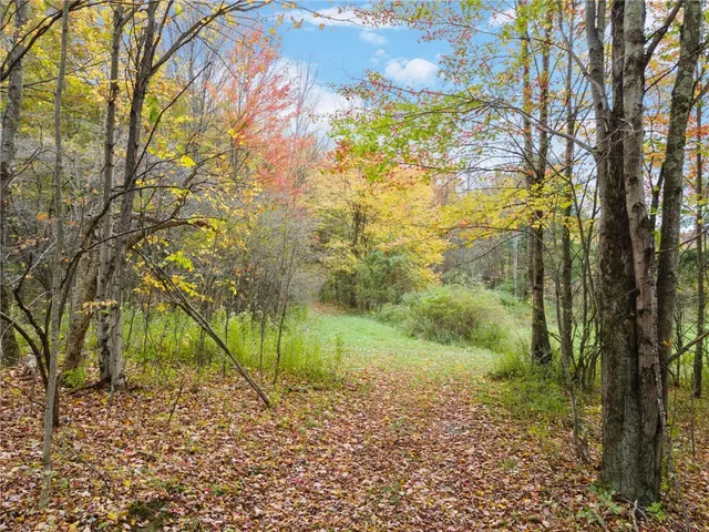 $199,000 | 734 Post Road, Franklin, NY 13775