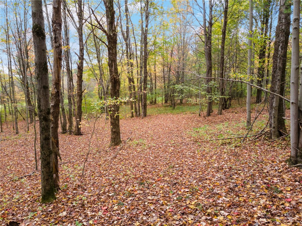 734 Post Road Franklin, NY 13775 - Photo 7 of 8