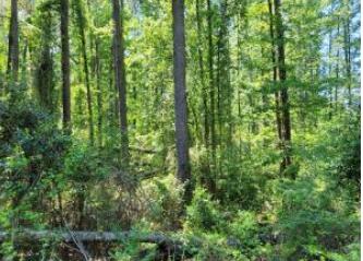 Tbd Cooper Street Denmark, SC 29042 - Photo 1 of 1 Cooper
