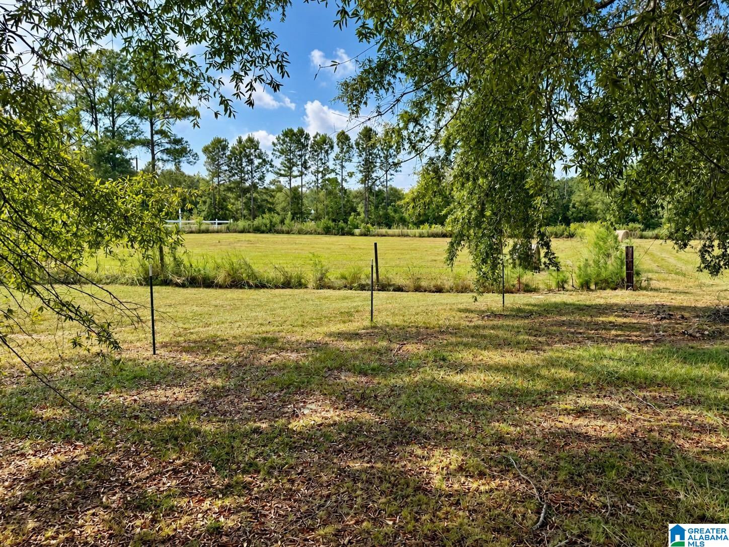 554 Chappell Road Piedmont, AL 36272 - Photo 62 of 72 Gallery Image 62