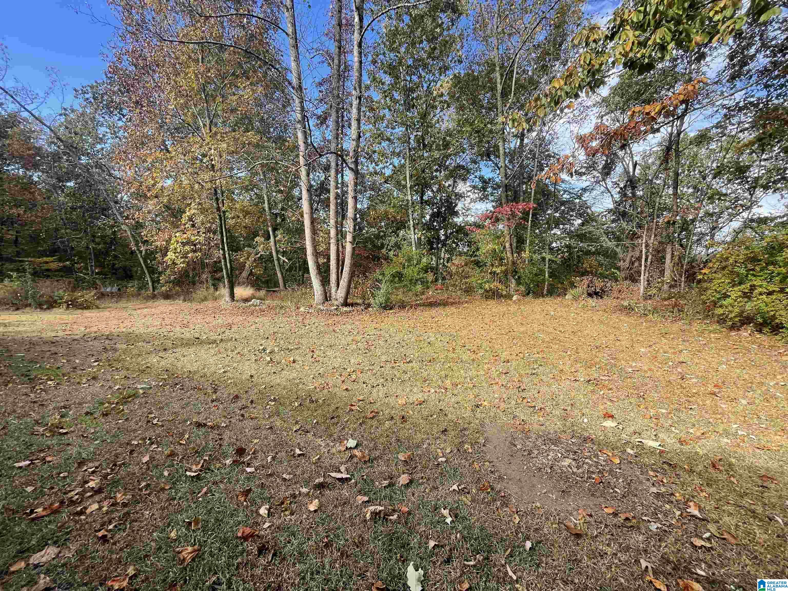285 Forest View Circle Hayden, AL 35079 - Photo 18 of 19