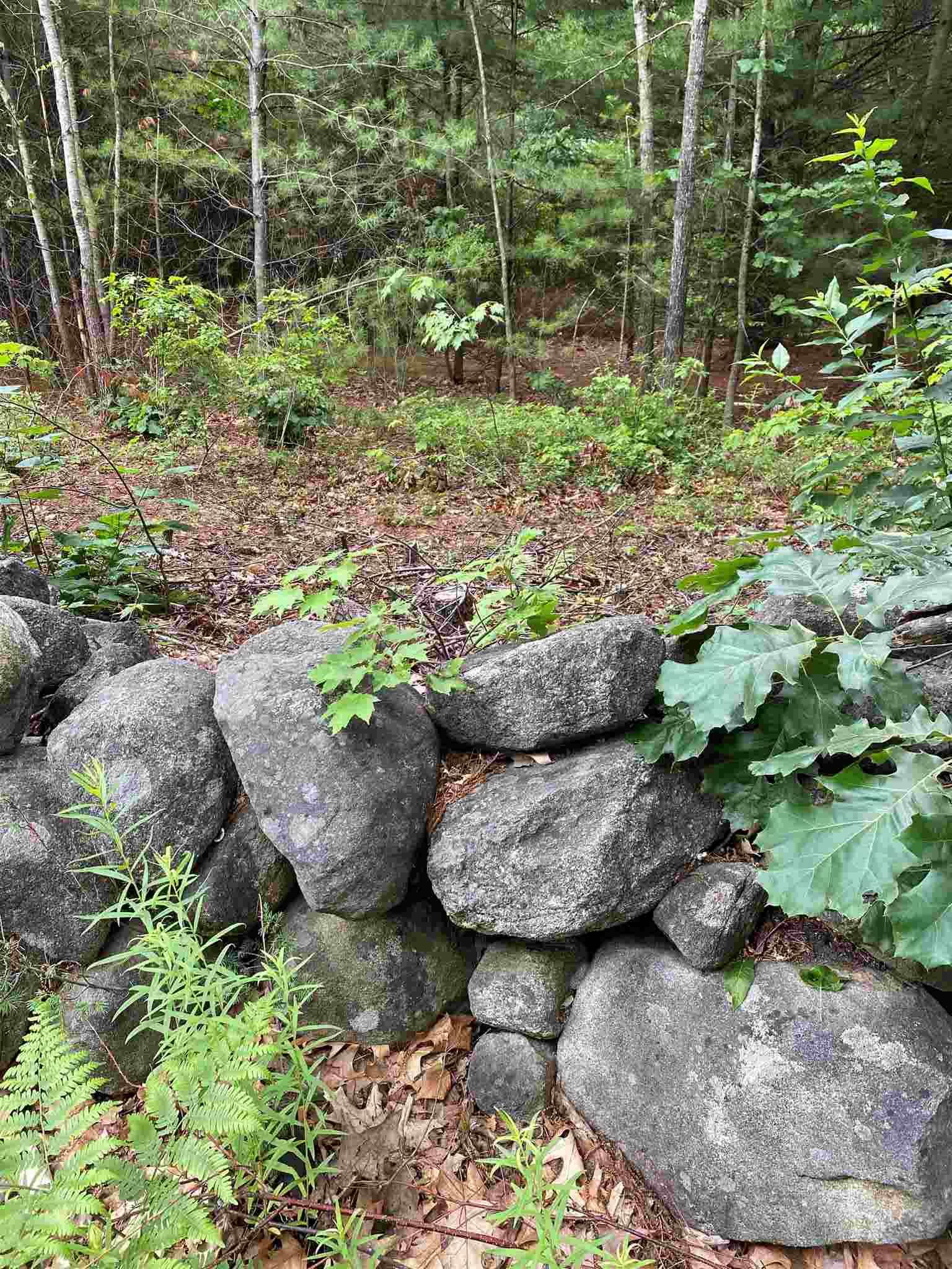2 Colonel Wilkins Road Amherst, NH 03031 - Photo 1 of 9 Gallery Image 1