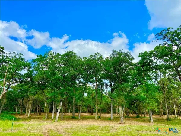 a swimming pool with trees in the background