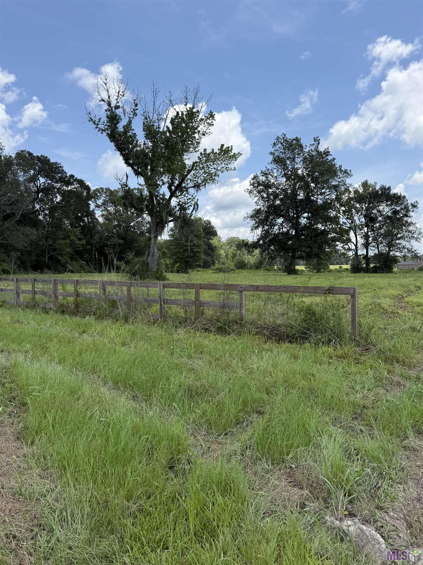 22390 Plank Road Zachary, LA 70791 - Photo 5 of 8