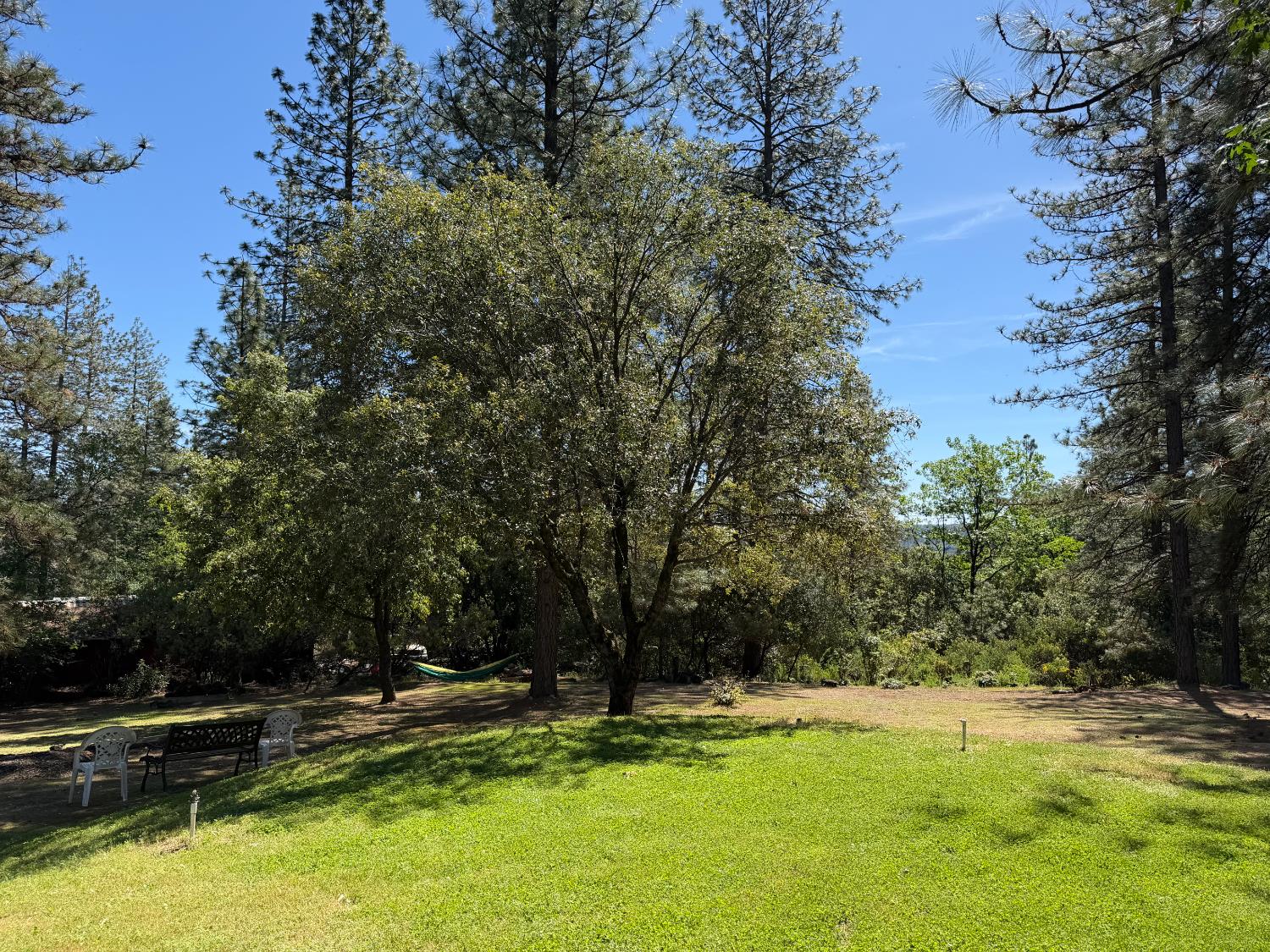 645 Rigby Lane Applegate, CA 95703 - Photo 52 of 52 a view of a yard with swimming pool