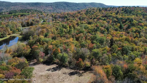 an aerial view of forest