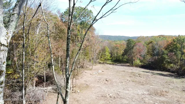 a view of a yard with a tree