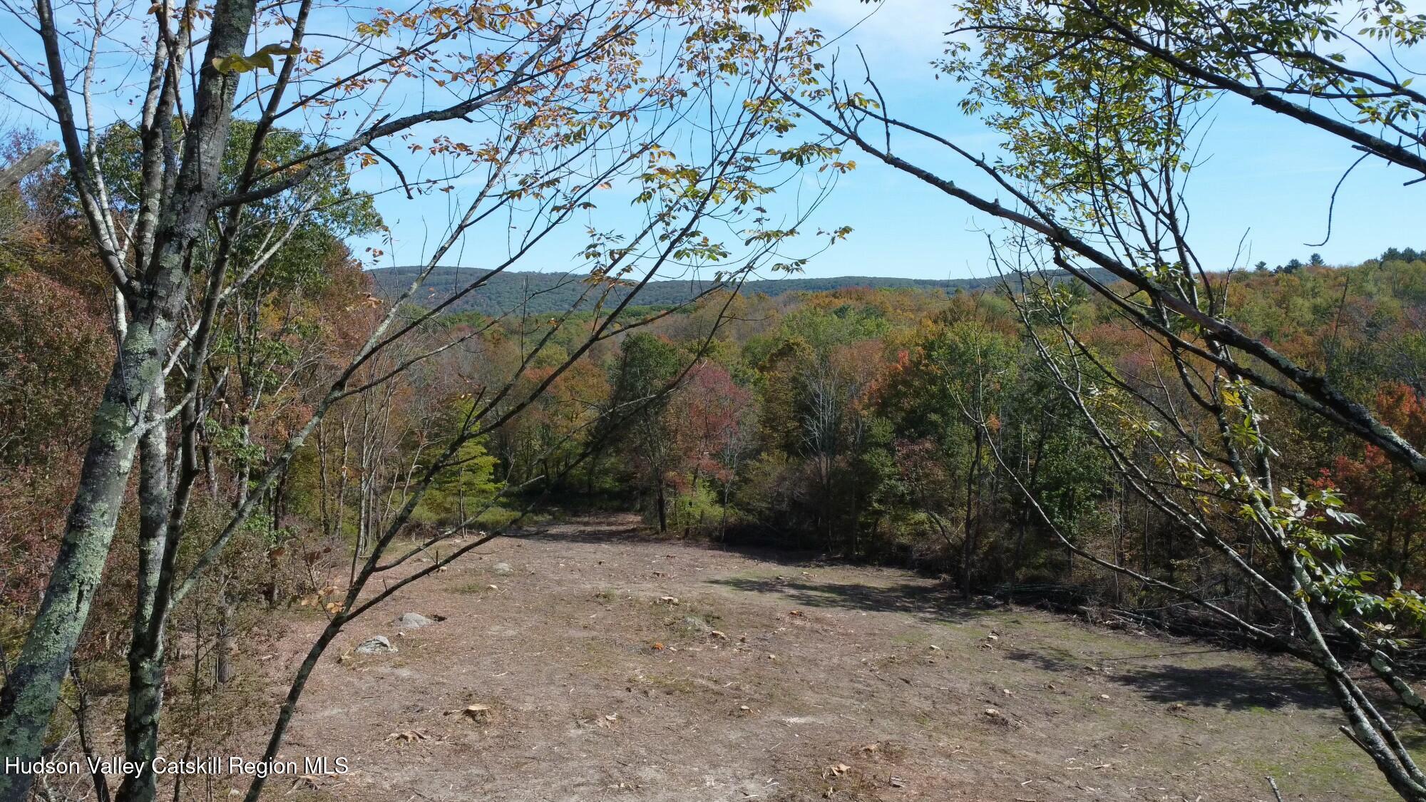 Tbd West Hill Road Austerlitz, NY 12017 - Photo 4 of 7 a view of backyard with green space