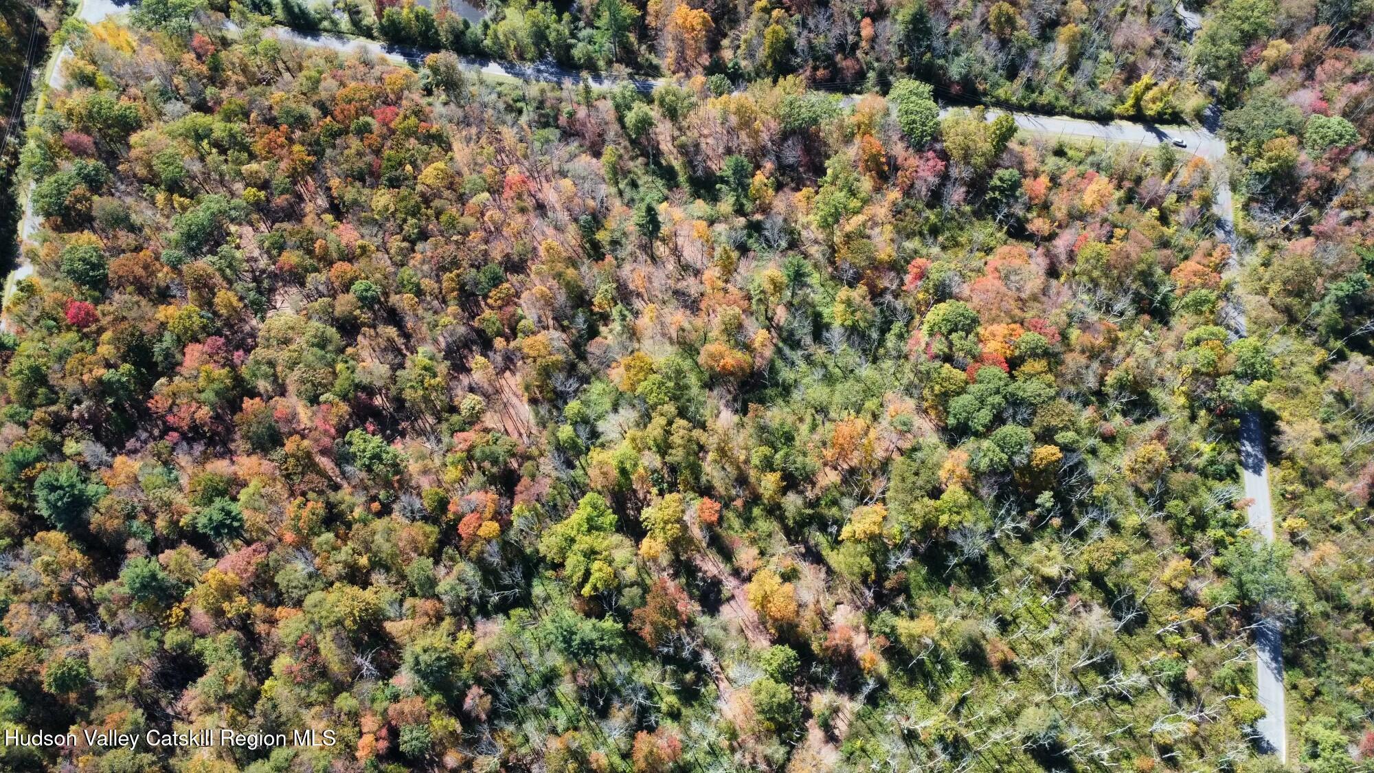 Tbd West Hill Road Austerlitz, NY 12017 - Photo 6 of 7 unknown