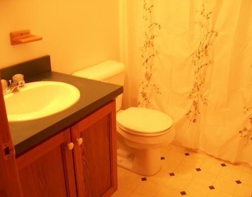 119 Lewis Road Naples, ME 04055 - Photo 7 of 19 Bathroom. First floor bath