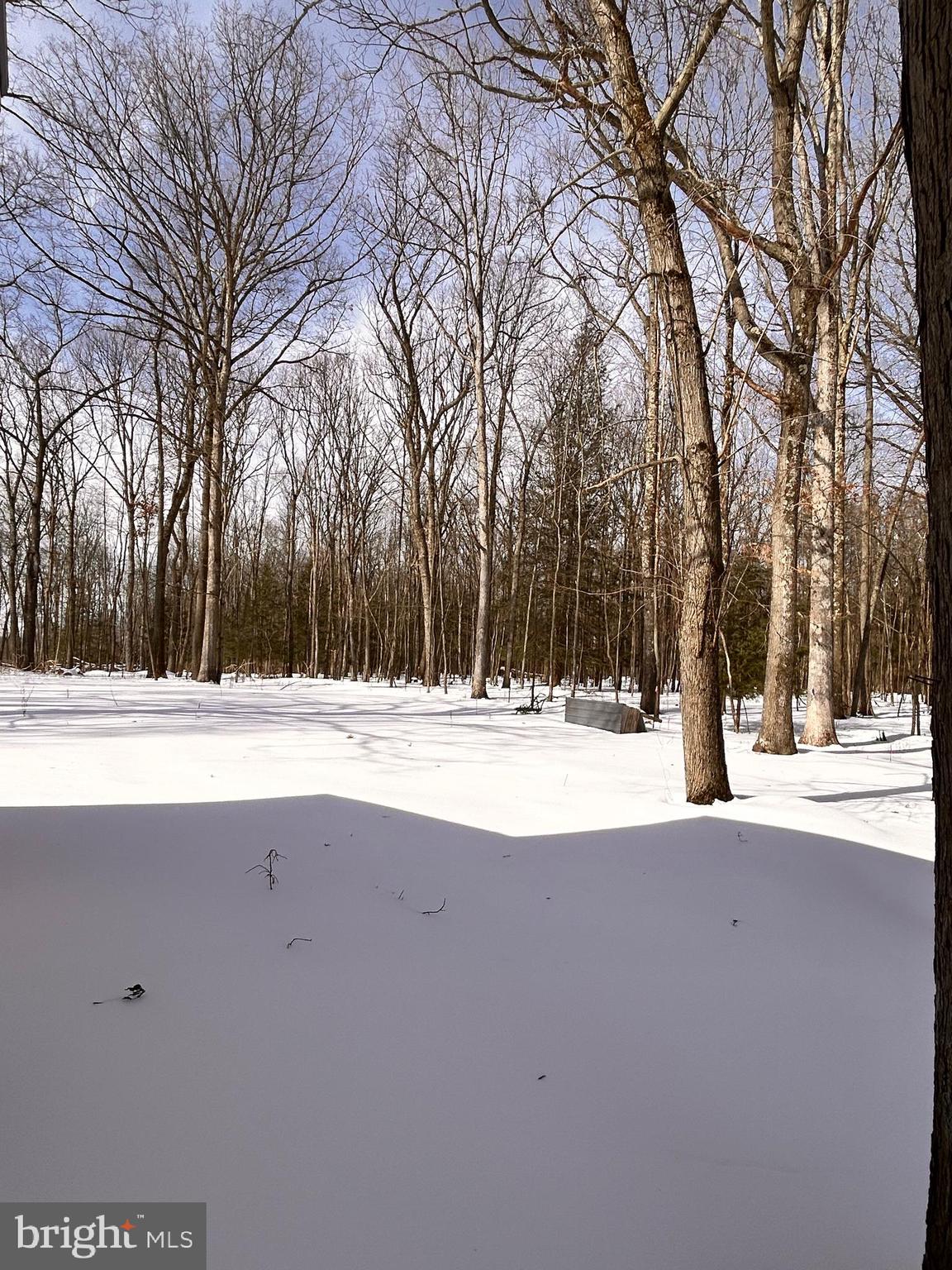 2670 Ridge Road Westover, PA 16692 - Photo 6 of 14