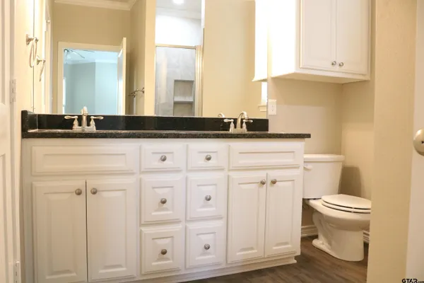 a bathroom with a sink and a toilet