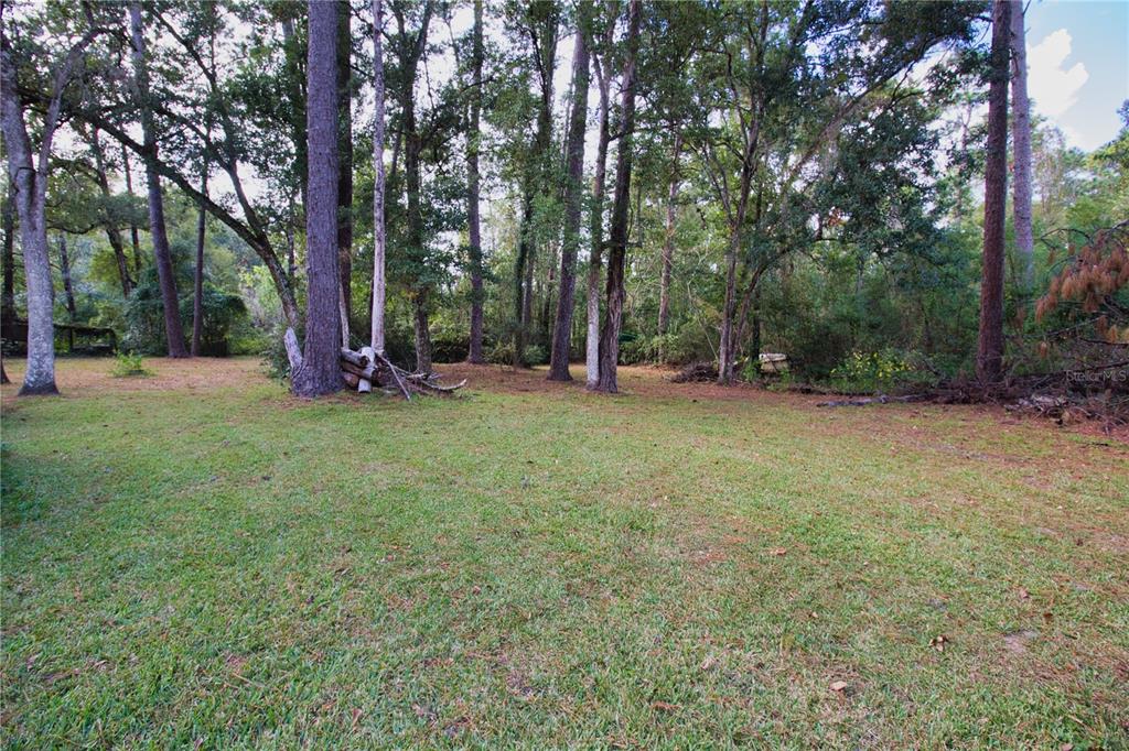 2498 Saturn Road Brooksville, FL 34604 - Photo 20 of 26 a view of a tree in a park