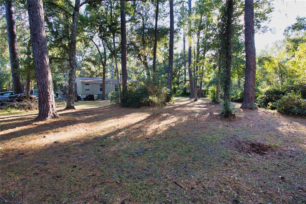 2498 Saturn Road Brooksville, FL 34604 - Photo 21 of 26 a view of backyard with trees