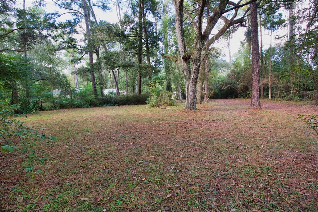 2498 Saturn Road Brooksville, FL 34604 - Photo 23 of 26 a view of a yard with a tree