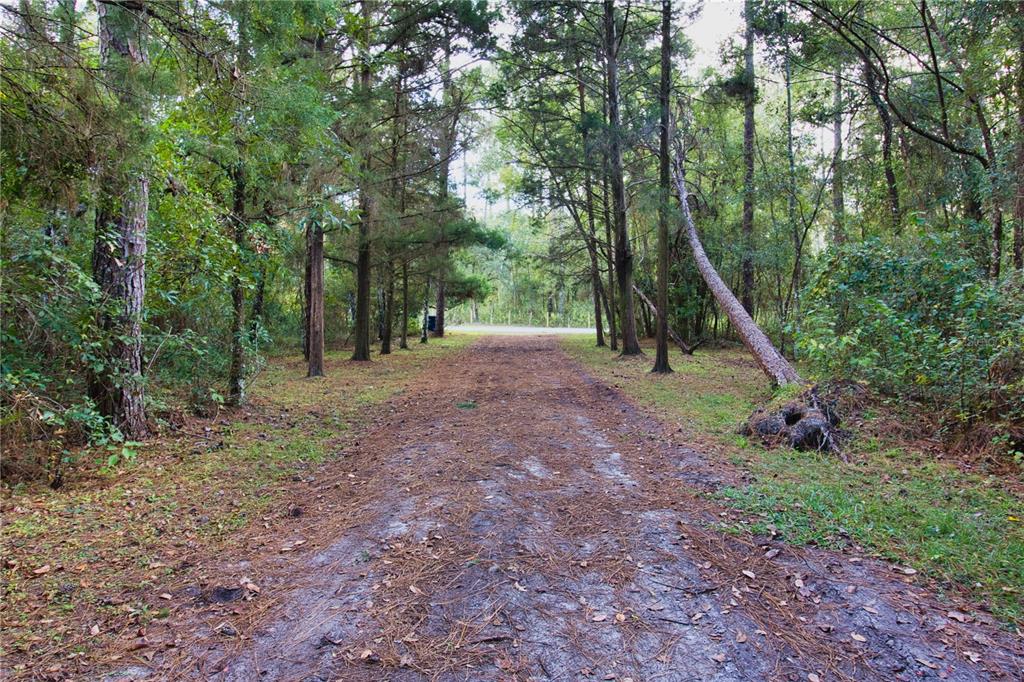 2498 Saturn Road Brooksville, FL 34604 - Photo 25 of 26 a view of a park with large trees