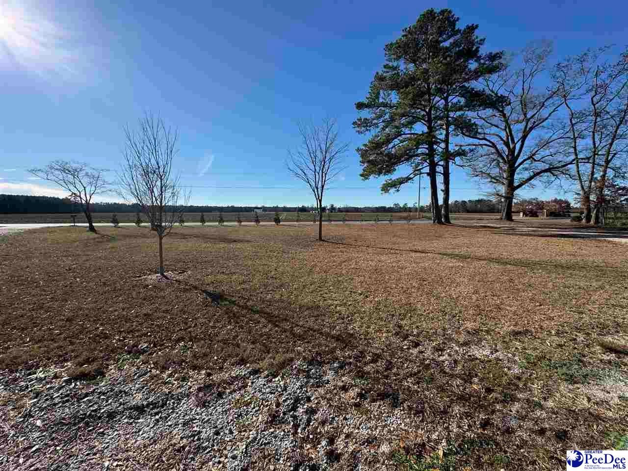 2524 Centerville Road Latta, SC 29565 - Photo 28 of 28 Gallery Image 28