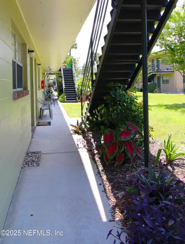 a view of a potted flower in the corridor