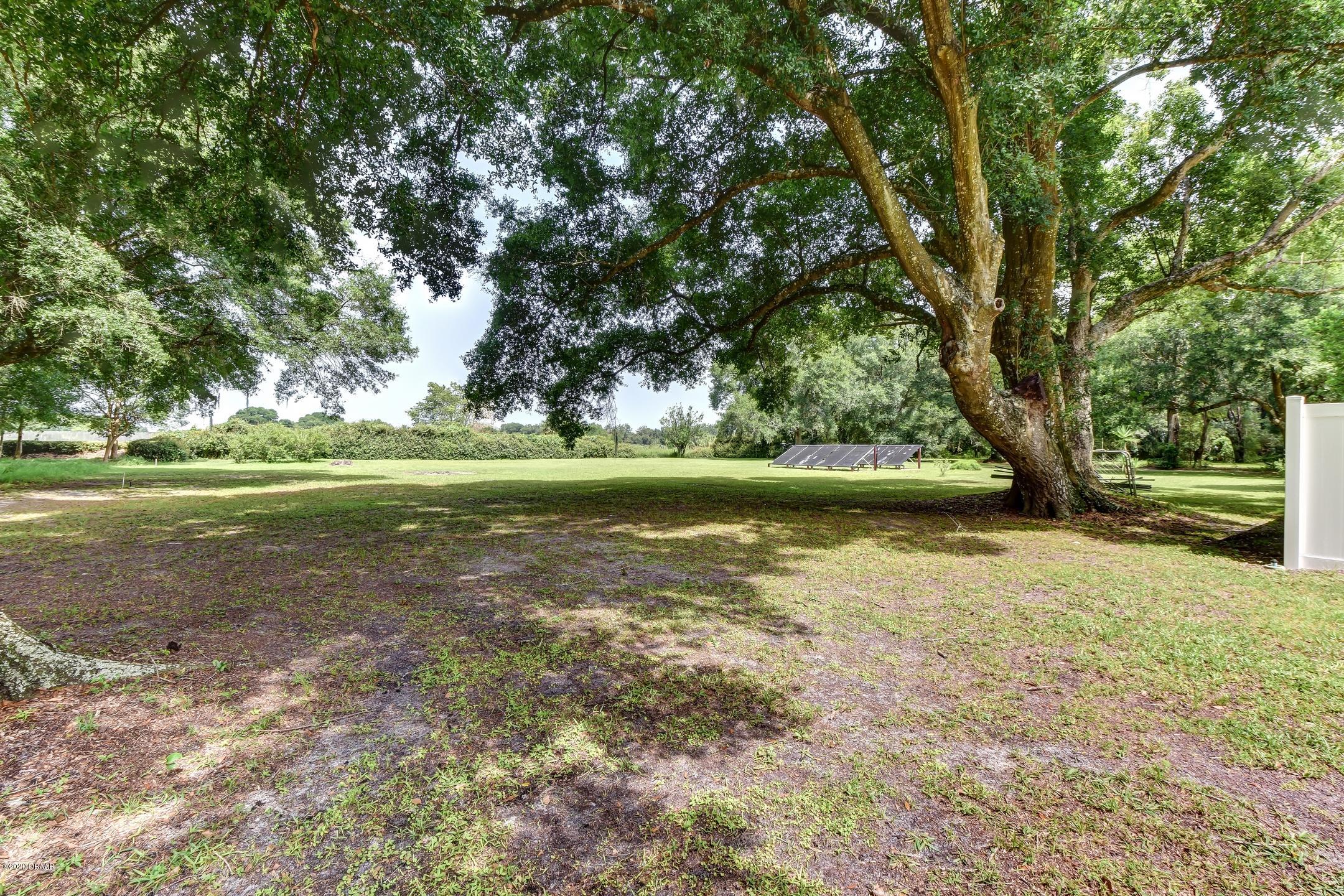 1010 Blackburn Road Pierson, FL 32180 - Photo 32 of 42 32-Rear Yard Area