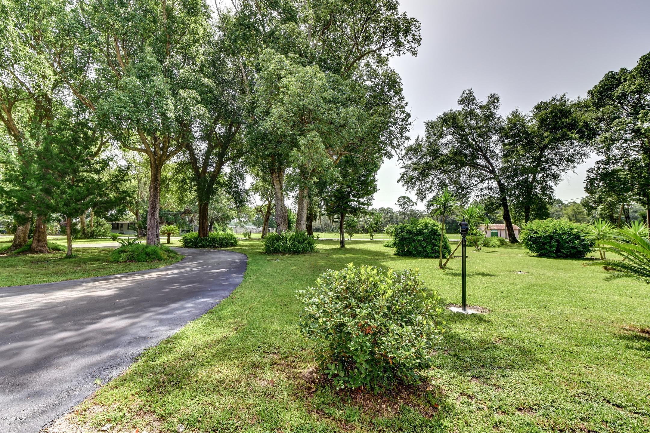 1010 Blackburn Road Pierson, FL 32180 - Photo 38 of 42 38-Front Yard