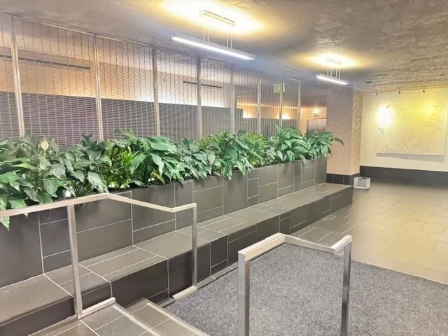 a view of a house with a potted plant