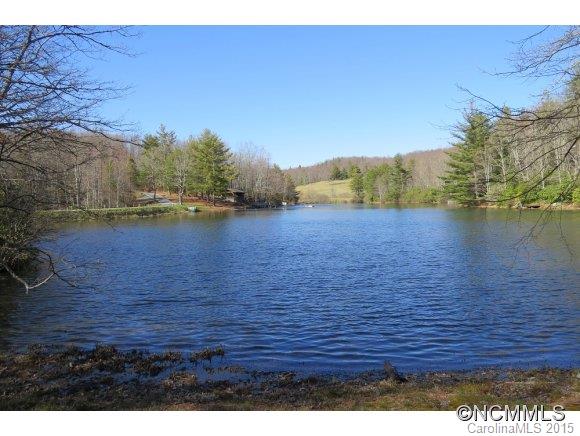 146 Allen Road Brevard, NC 28712 - Photo 23 of 24 Gallery Image 23