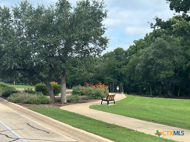 3405 Waggoner Drive Belton, TX 76513 - Photo 47 of 48