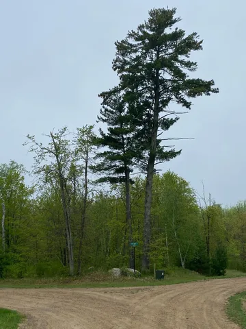 $27,000 | Lot 15 Bear Tract Lane Northeast, Longville, MN 56655