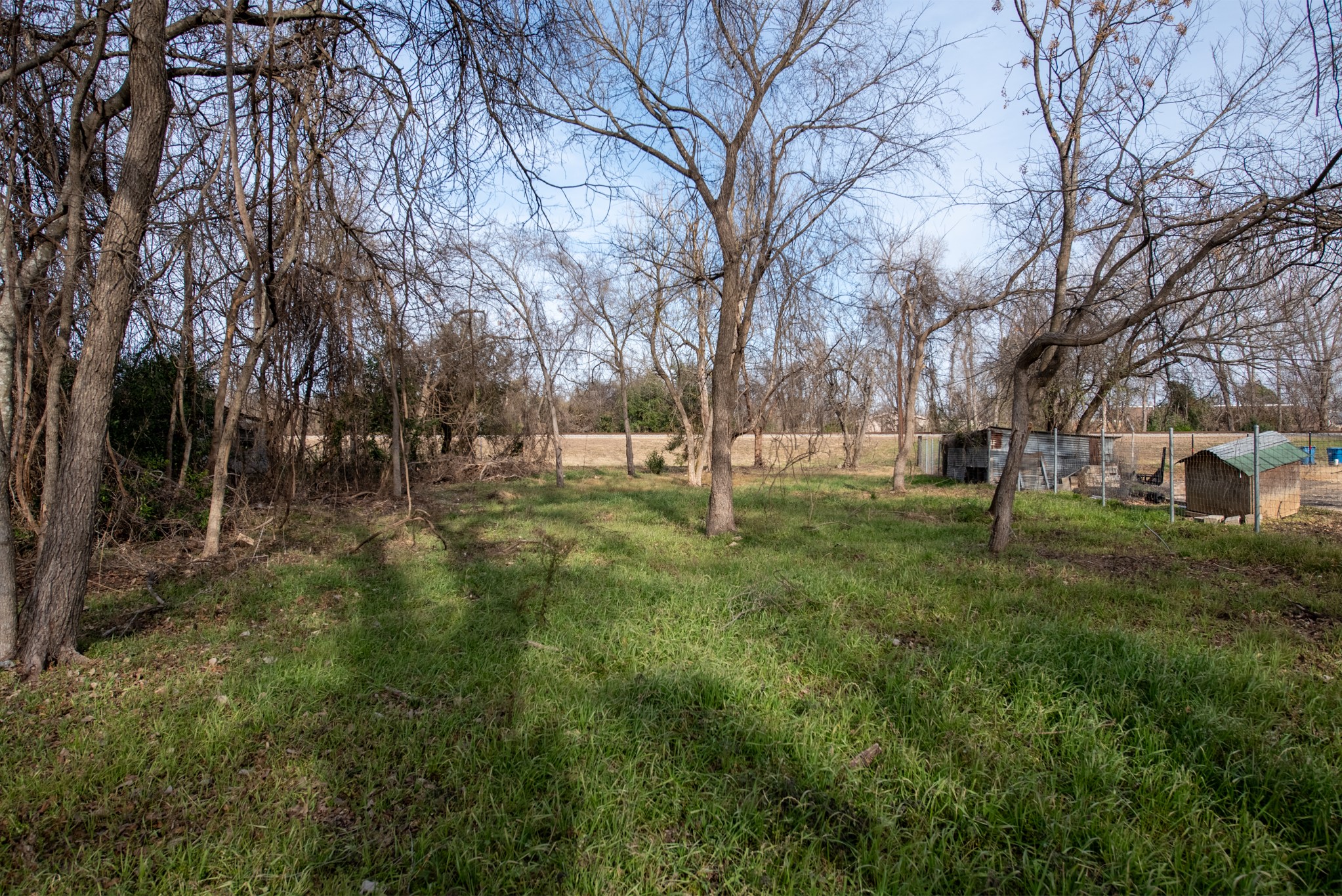 418 South Ave D Elgin, TX 78621 - Photo 6 of 29 a view of park space
