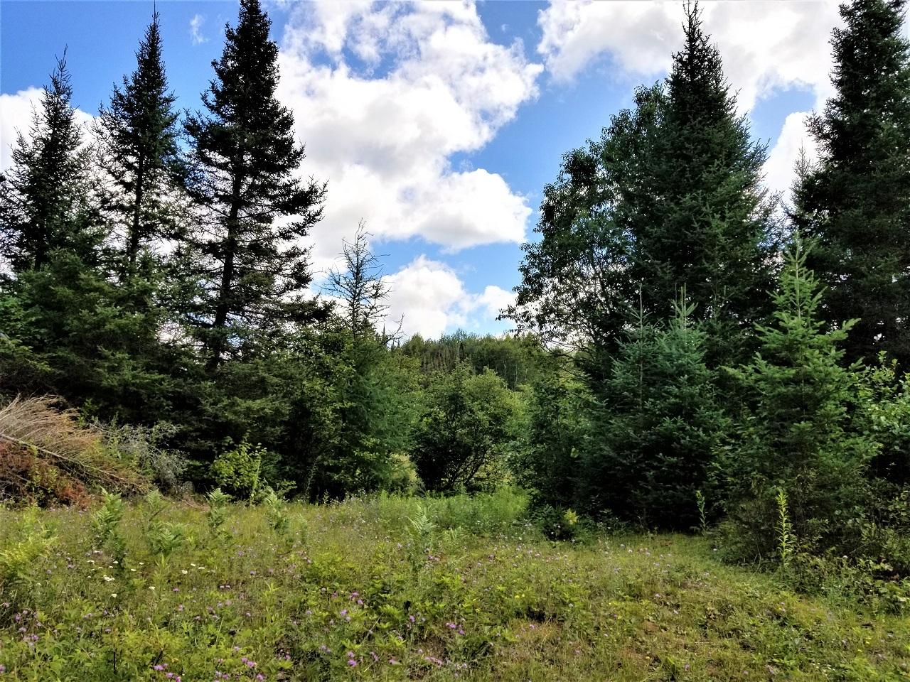 Lot 26 Three Ten Road Mercer, WI 54547 - Photo 21 of 24 Gallery Image 21
