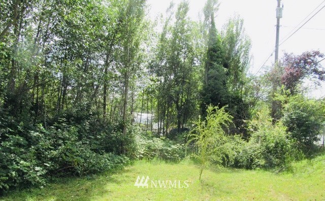 12517 Southeast Petrovitsky Road Renton, WA 98058 - Photo 5 of 6 Gallery Image 5