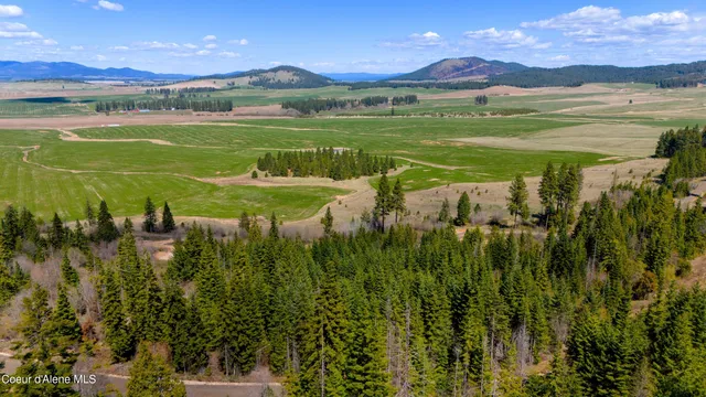 $219,999 | Lot 11 Lone Moose Drive, Plummer, ID 83851