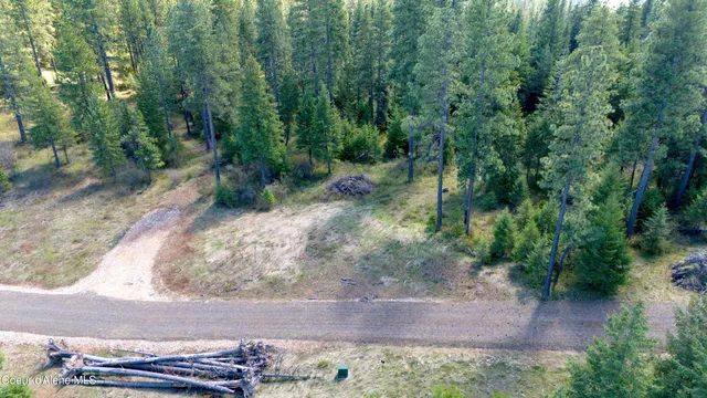 $219,999 | Lot 11 Lone Moose Drive, Plummer, ID 83851