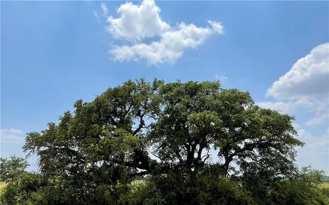 $147,098 | 0 377 S Highway, Brookesmith, TX 76827