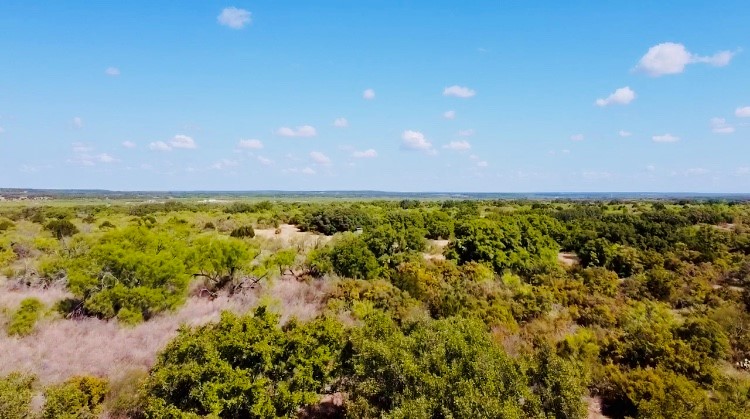 0 377 S Highway Brookesmith, TX 76827 - Photo 13 of 16