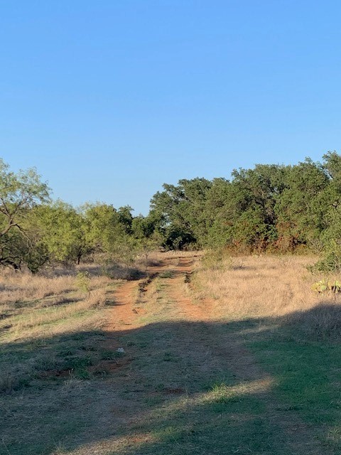 0 377 S Highway Brookesmith, TX 76827 - Photo 2 of 16