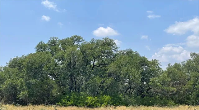 $147,098 | 0 377 S Highway, Brookesmith, TX 76827