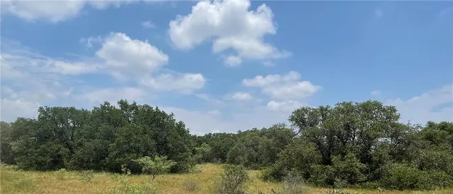 $147,098 | 0 377 S Highway, Brookesmith, TX 76827