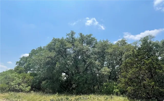 $147,098 | 0 377 S Highway, Brookesmith, TX 76827