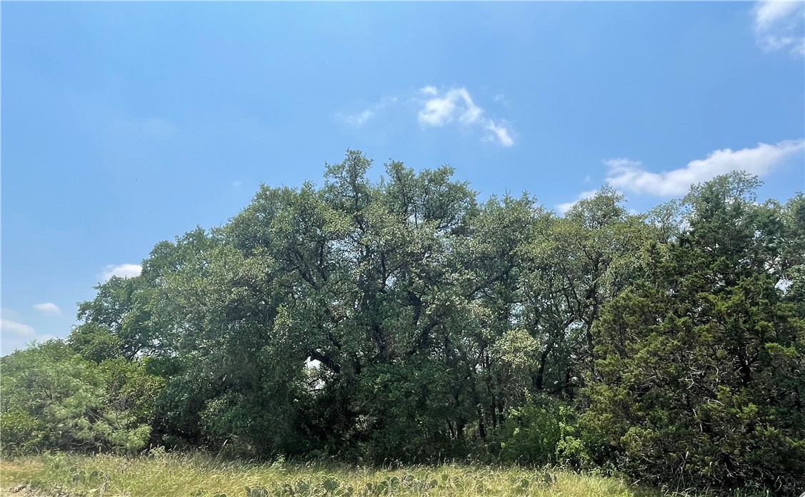 0 377 S Highway Brookesmith, TX 76827 - Photo 8 of 16