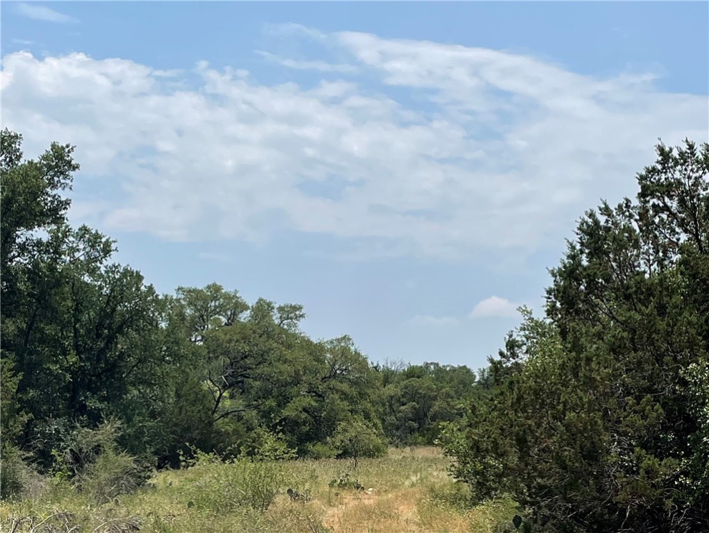 0 377 S Highway Brookesmith, TX 76827 - Photo 10 of 16