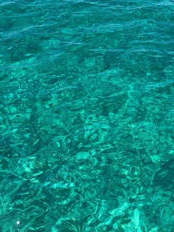 a view of a swimming pool with a bench