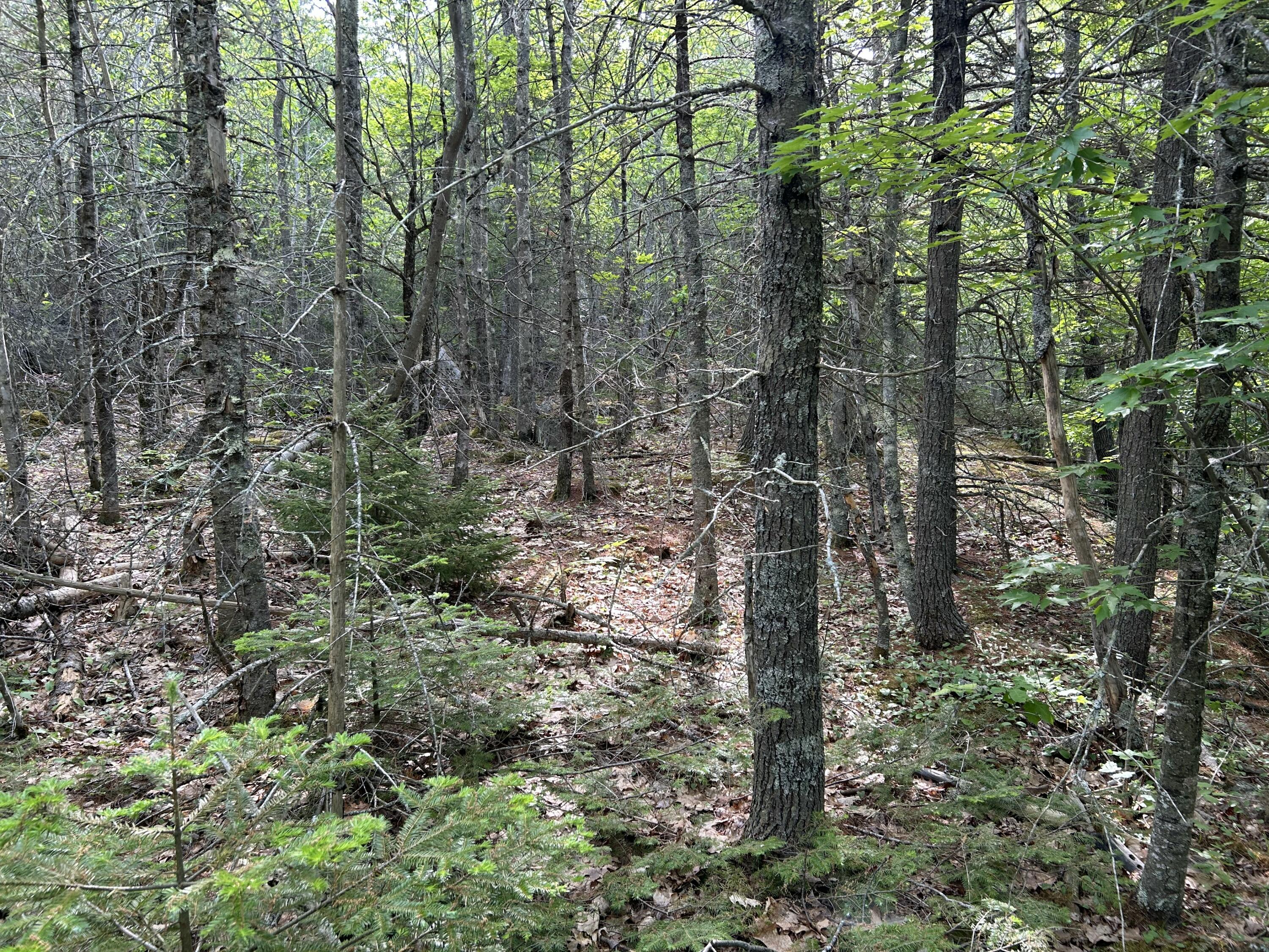 M5-l16 Clark Road Prospect, ME 04981 - Photo 39 of 45 IMG_8756