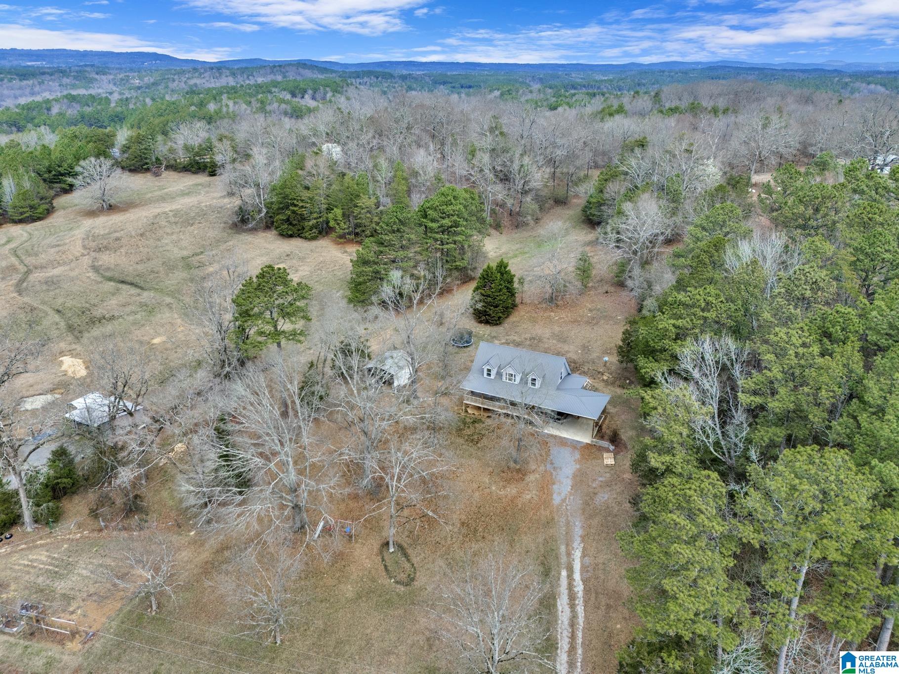 2316 Stockley Road Trafford, AL 35172 - Photo 40 of 42
