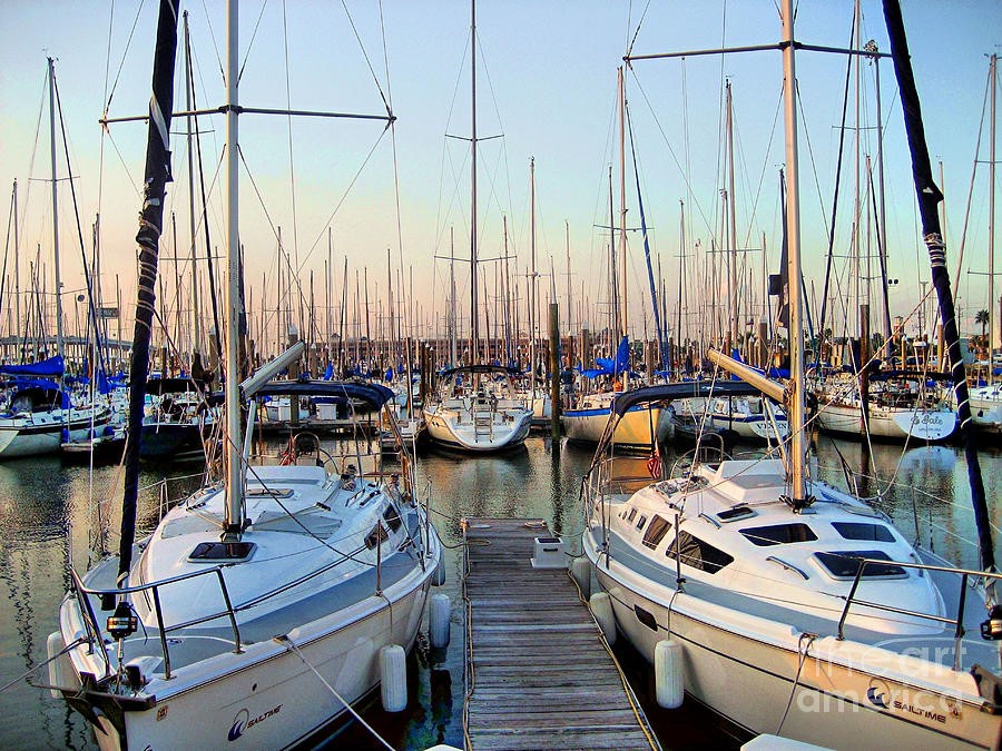 0 Hester Street Seabrook, TX 77586 - Photo 16 of 16 This photo showcases a vibrant marina filled with numerous sailboats docked under a clear sky, offering a picturesque view ideal for boating enthusiasts and waterfront living.
