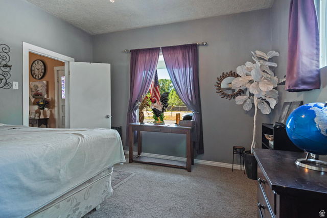 178 17th Street Ogden, UT 84404 - Photo 17 of 29 Carpeted room featuring a window with purple drapes, a white paneled door, and gray wall paint