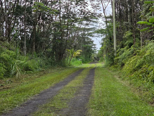 a big yard with lots of green space and trees